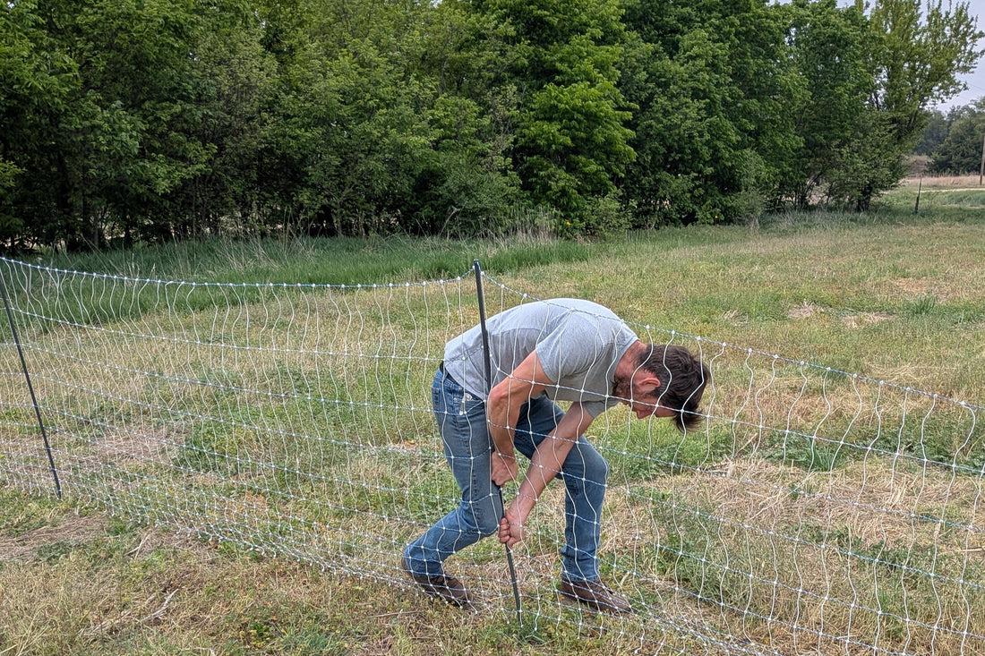 3 Essential Tips for Starting a Homestead