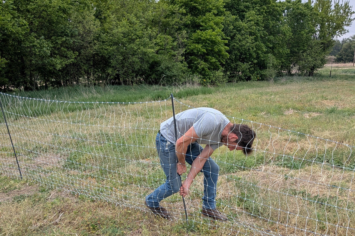3 Essential Tips for Starting a Homestead