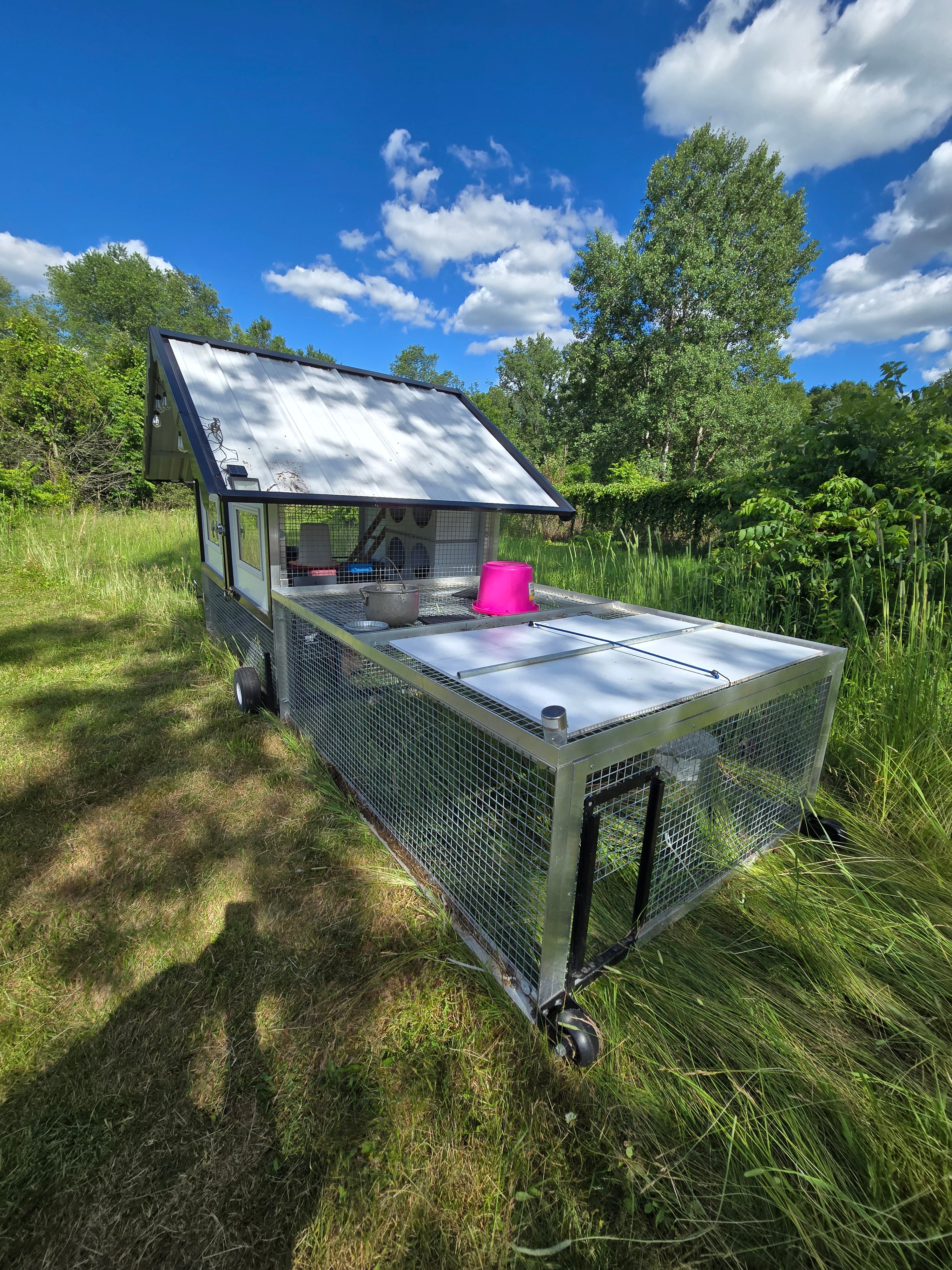 The Egg Cart’n Run