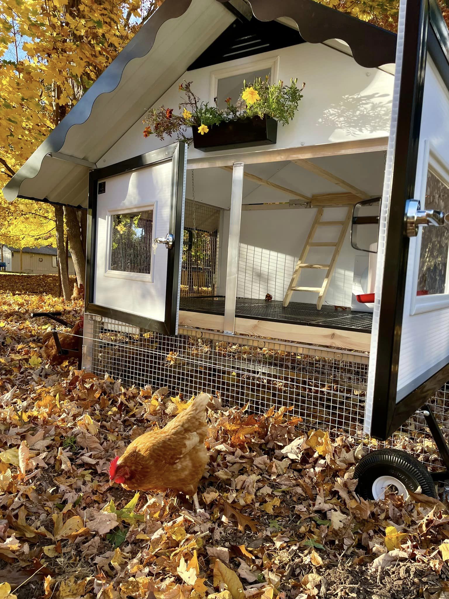 The Egg Cart'n Chalet