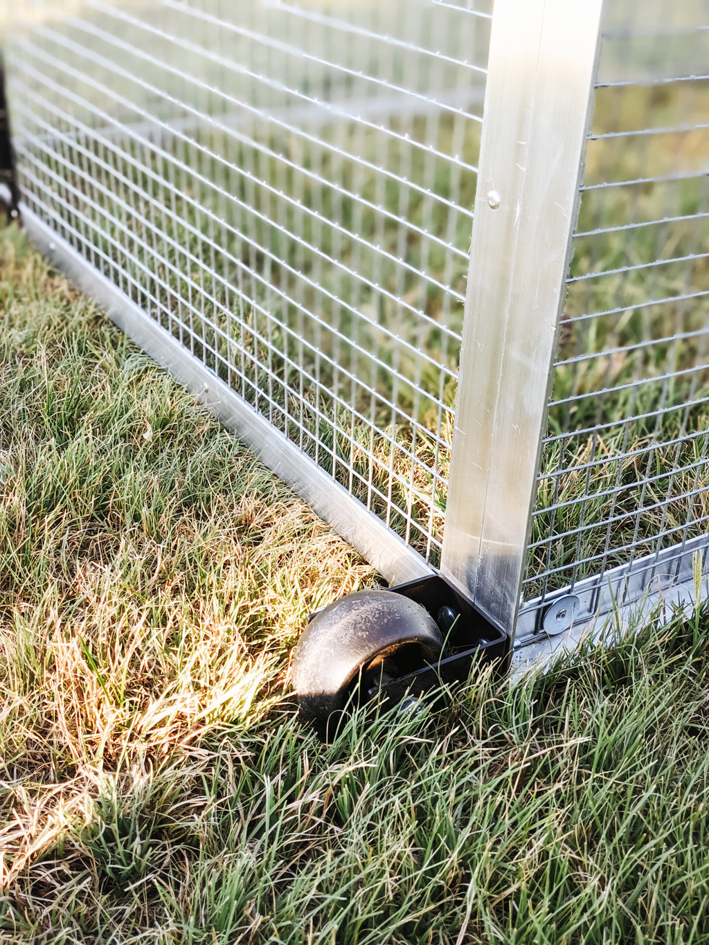 The Egg Cart’n Run