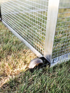 The Egg Cart’n Run