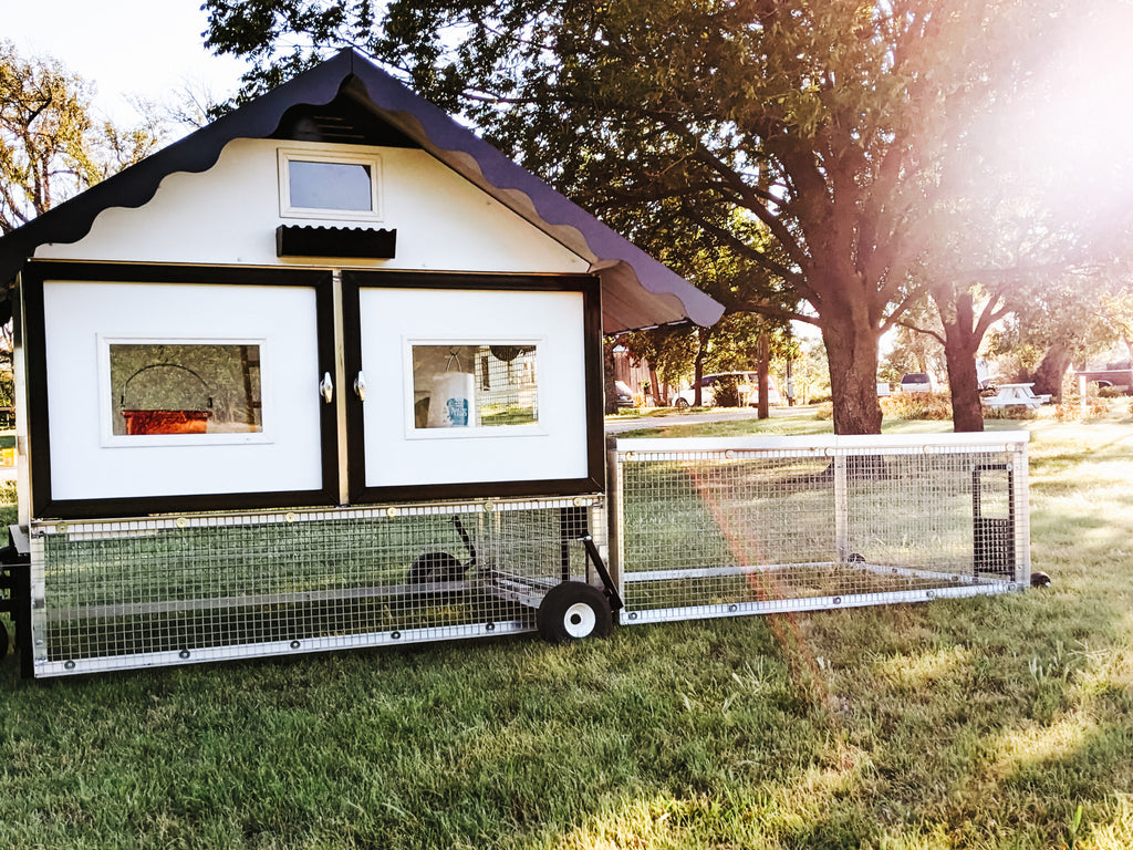 The Egg Cart’n Run