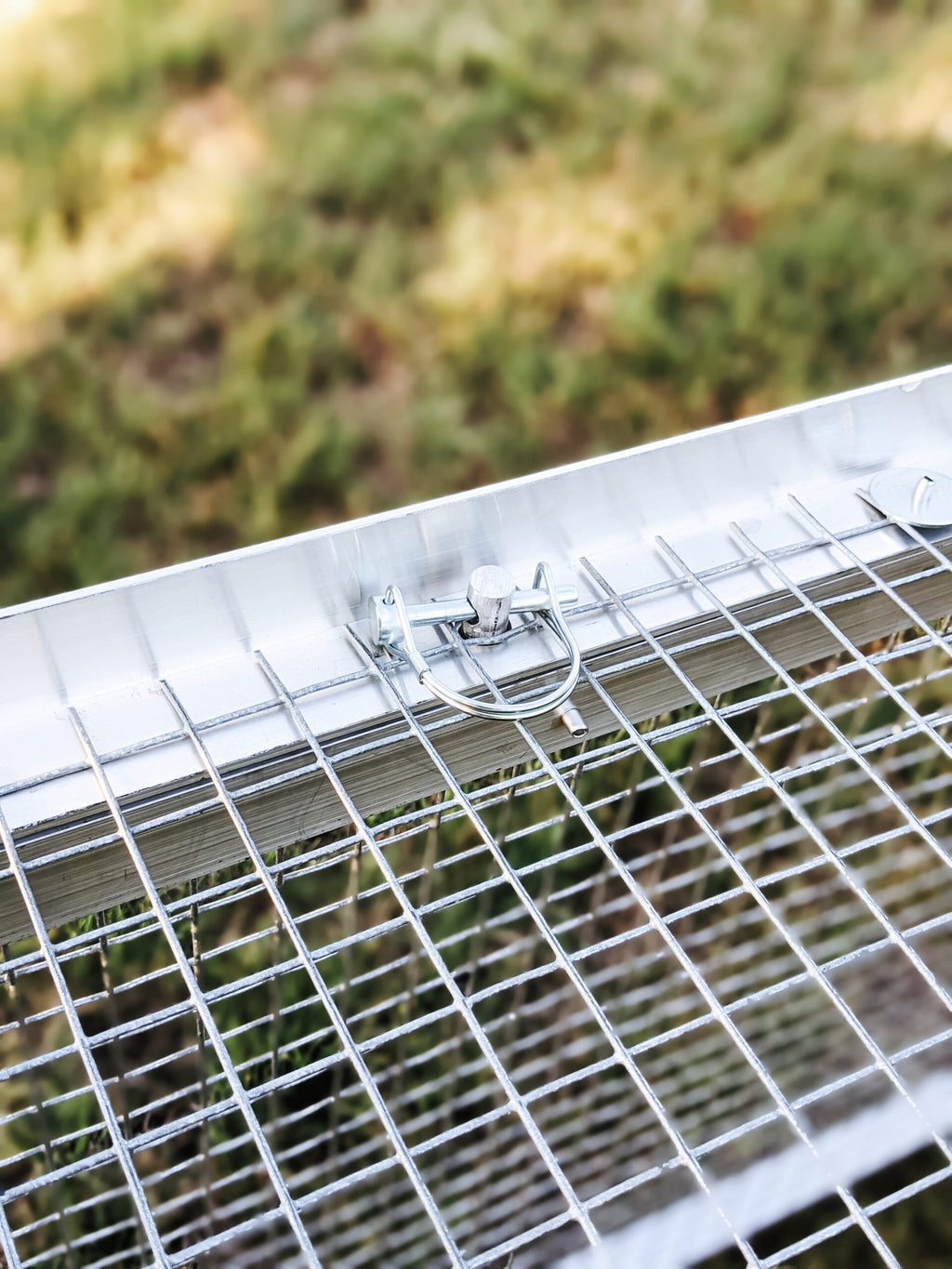 The Egg Cart’n Run