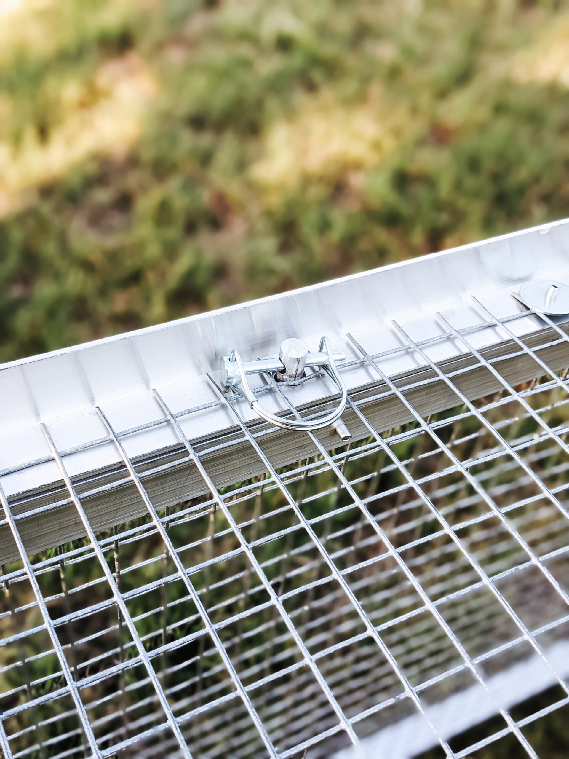 The Egg Cart’n Run