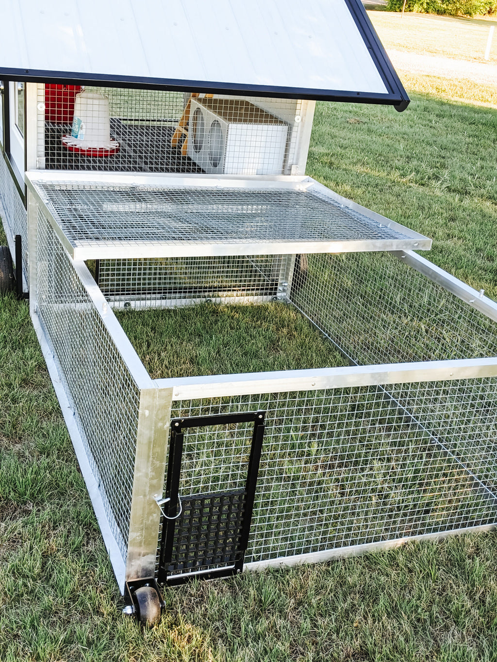 The Egg Cart’n Run