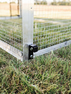 The Egg Cart’n Run