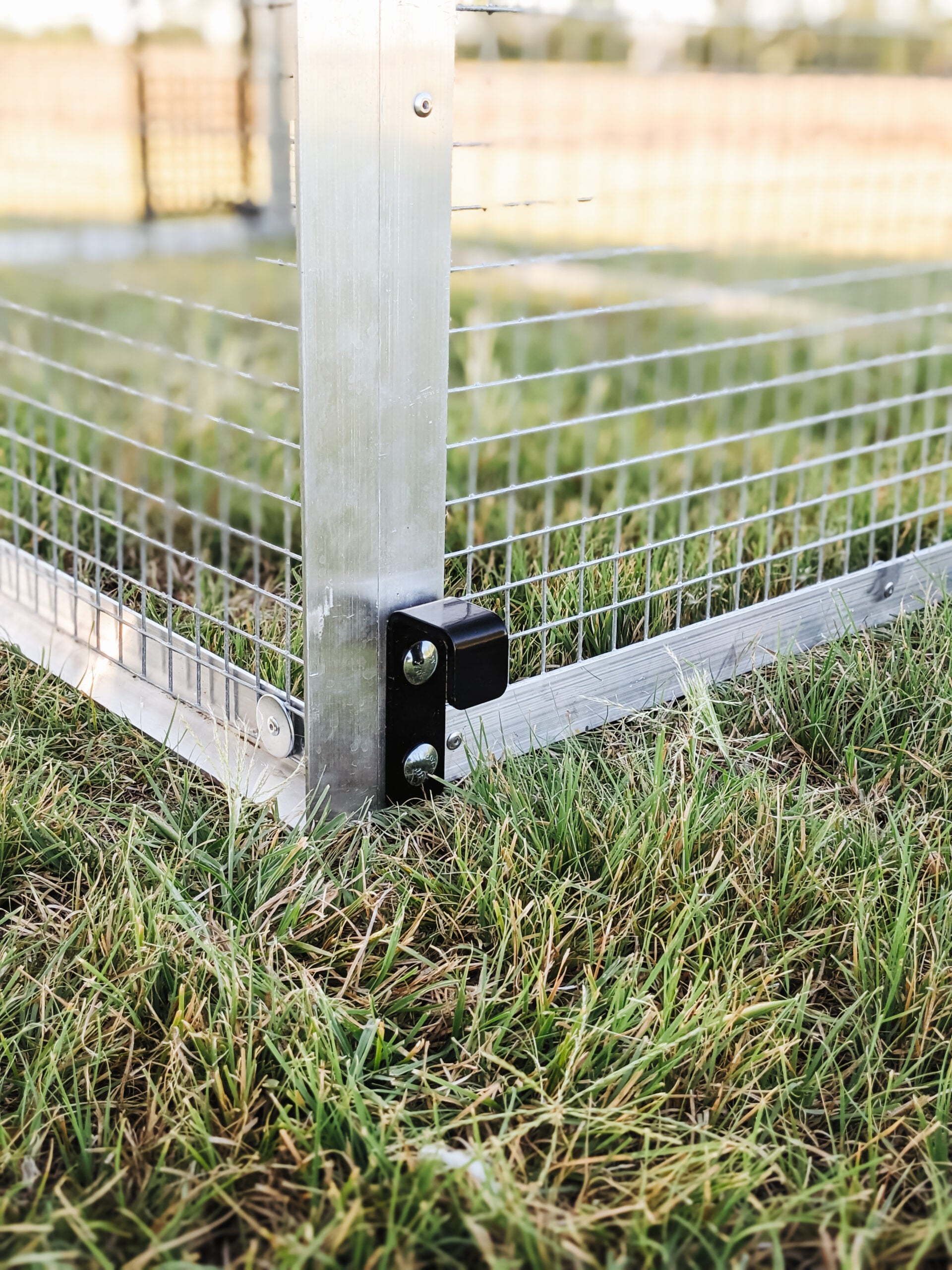 The Egg Cart’n Run