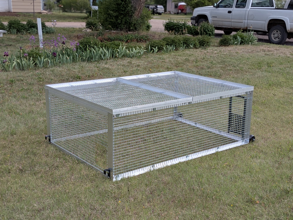 The Egg Cart’n Run