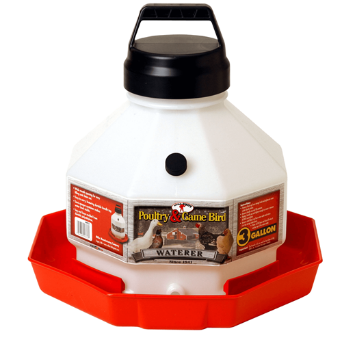 3 Gallon Little Giant Poultry Waterer