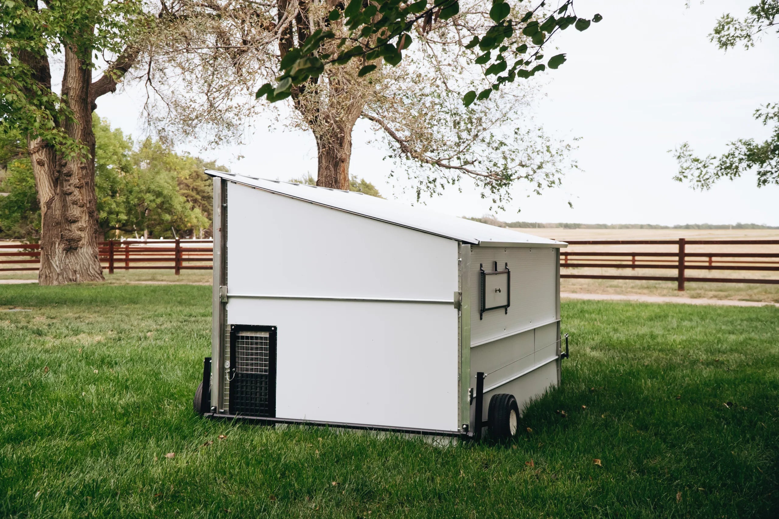 The Egg Cart'n Classic