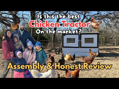 The Egg Cart'n Classic