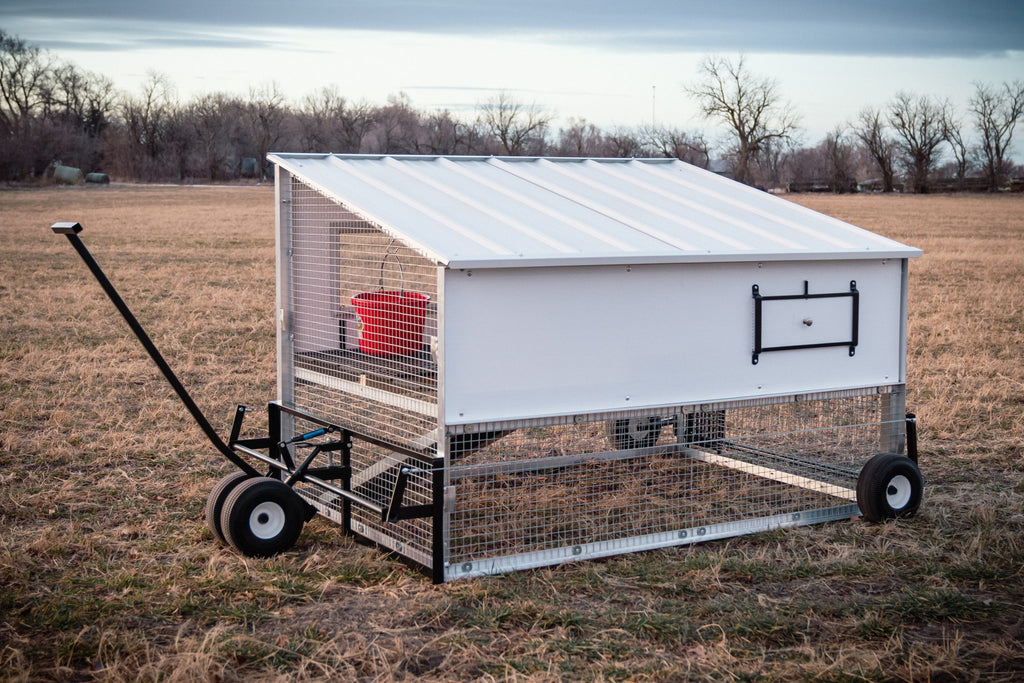 The Egg Cart'n Classic