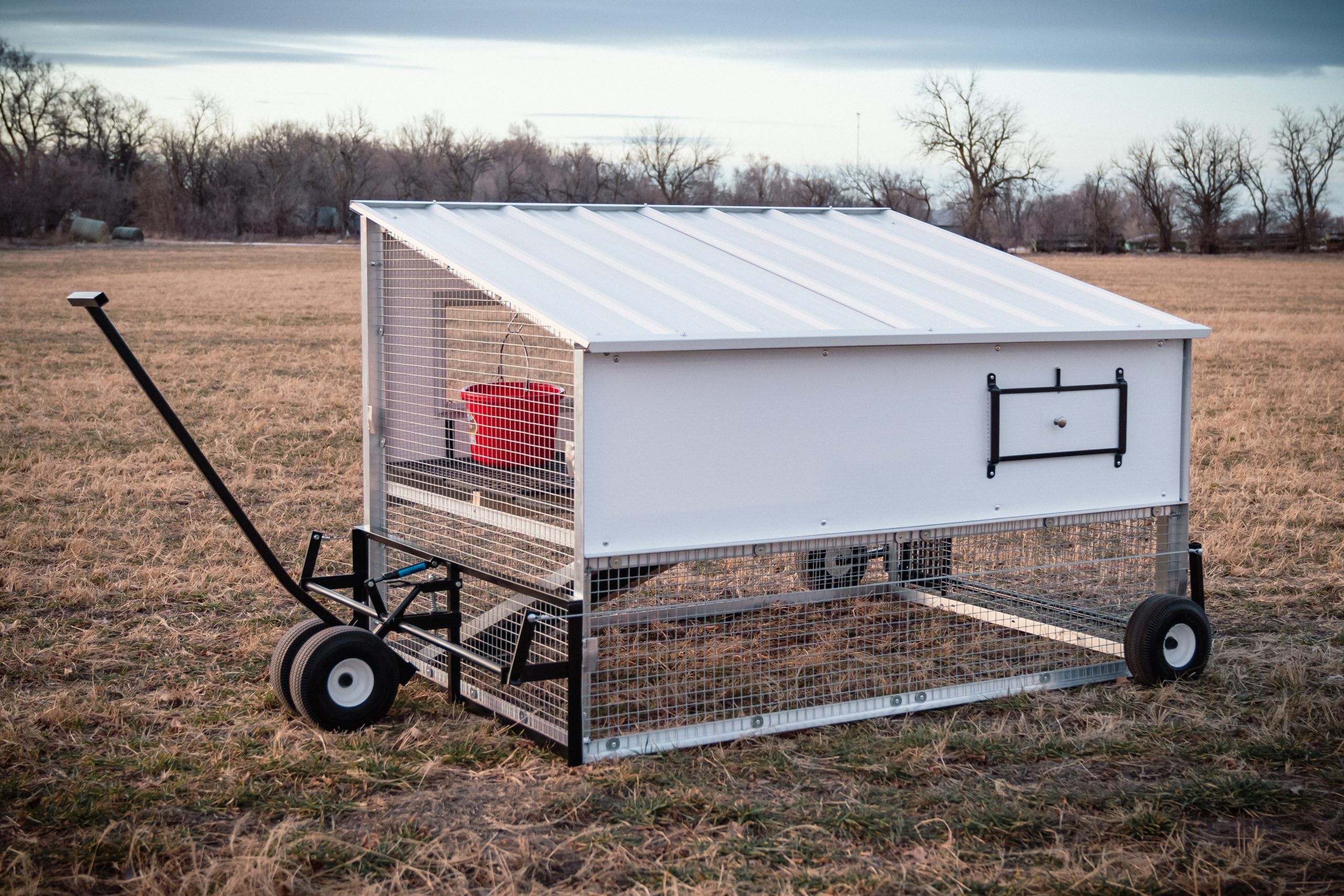 The Egg Cart'n Classic