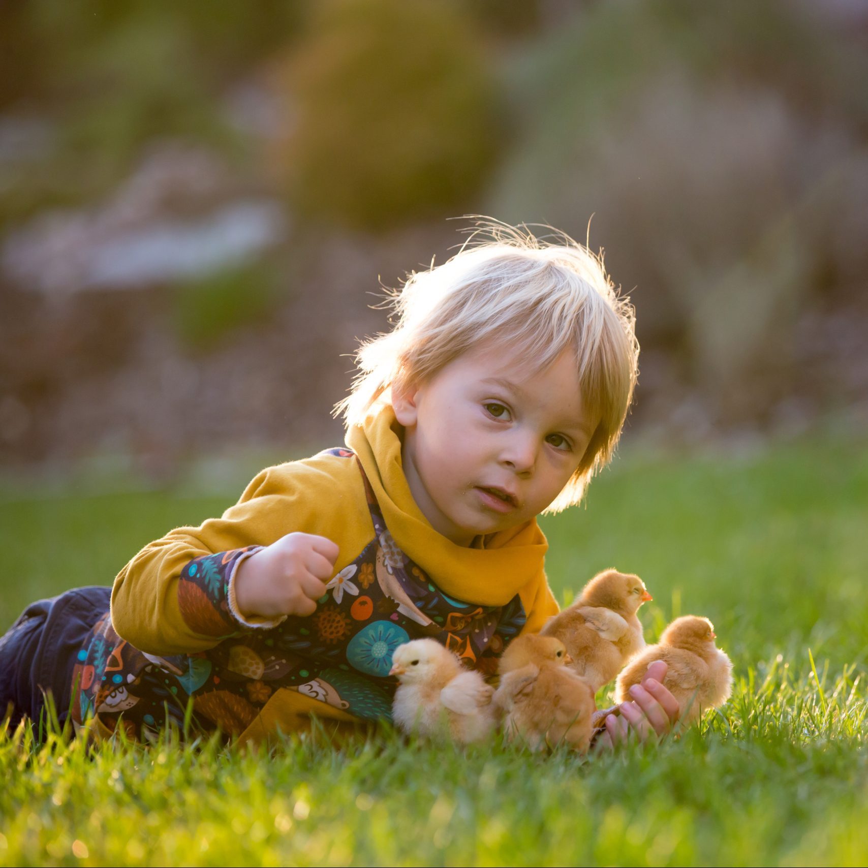 boy in a small backyard with lush green grass