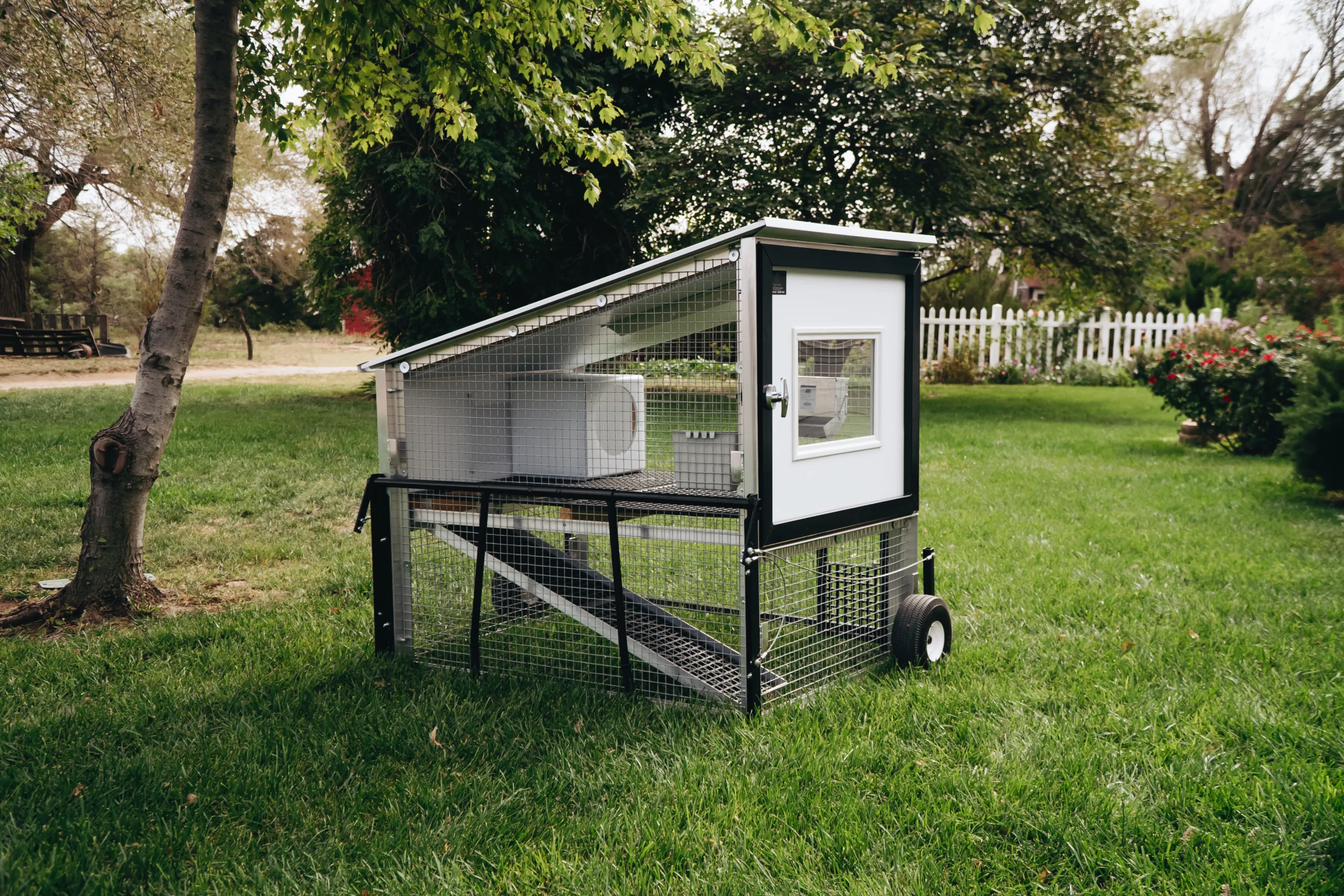 small backyard chicken coop for homesteaders